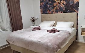 Dolly Apartment